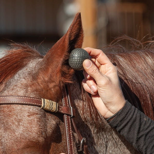 Classic Equine Ear Plugs 2 Paar
