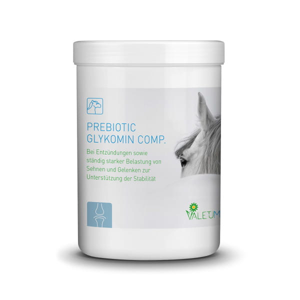 Valetumed Prebiotic Glykomin Comp. 750g