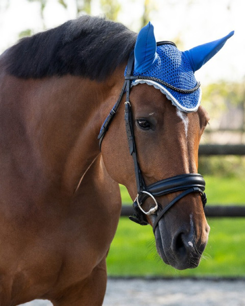 Fliegenhaube Color