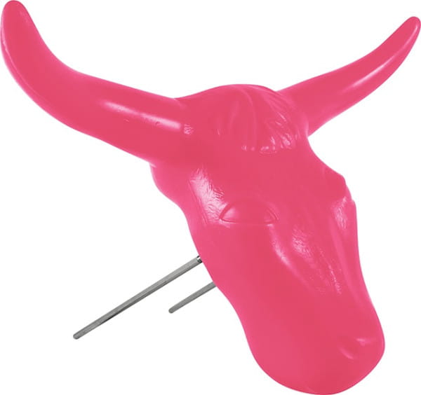 Classic Equine Steer Head Colorfull