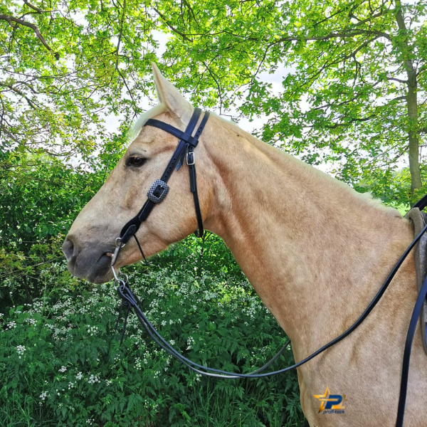 ProfChoice black latigo 3/4&quot; Browband