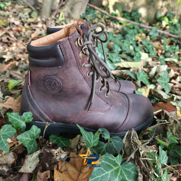 Mountain Horse Snowy River Lace