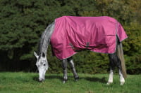 Bucas Freedom Turnout light 0g Regendecke