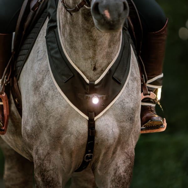 Vorderzeug Horselight -weiße Frontleuchte