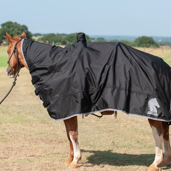 Classic Equine Horse and Saddle Rug