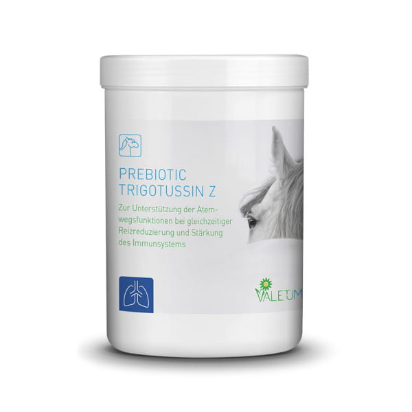 Valetumed Prebiotic Trigotussin Z Atemwege 500g