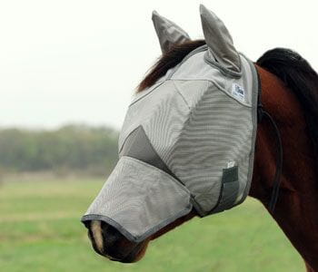 Cashel Standard Fly Maske Warmblut Pferd Mit Abdeckung Ohren & Nasen 
