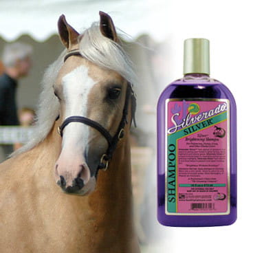 Horse Brightening &amp; Whitening Shampoo for Coat, Mane &amp; Tail by Silverado