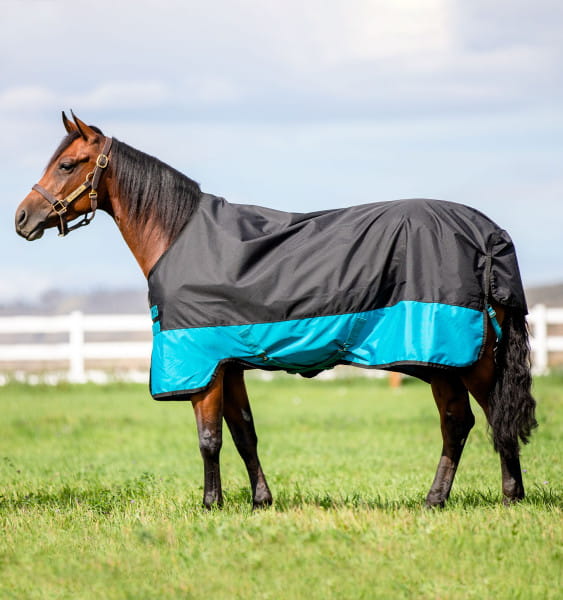 Horseware MIO Turnout Medium black/turquoise