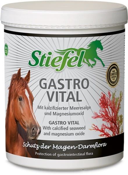 Stiefel Gastro Vital 1kg