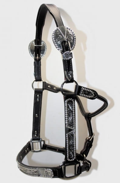 Showhalter EE Cob Silver braun